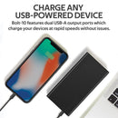 PROMATE Compact Smart Power Bank with Dual USB Output - BOLT-10