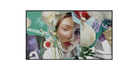 Hikvision 55" 4K Wall-Mounted Digital Signage - DS-D6055UN-DL