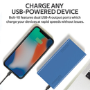 PROMATE Compact Smart Power Bank with Dual USB Output - BOLT-10